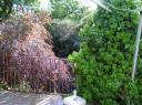 vallvi